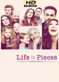 La vida en piezas (Life in Pieces) 2×02 [720p]